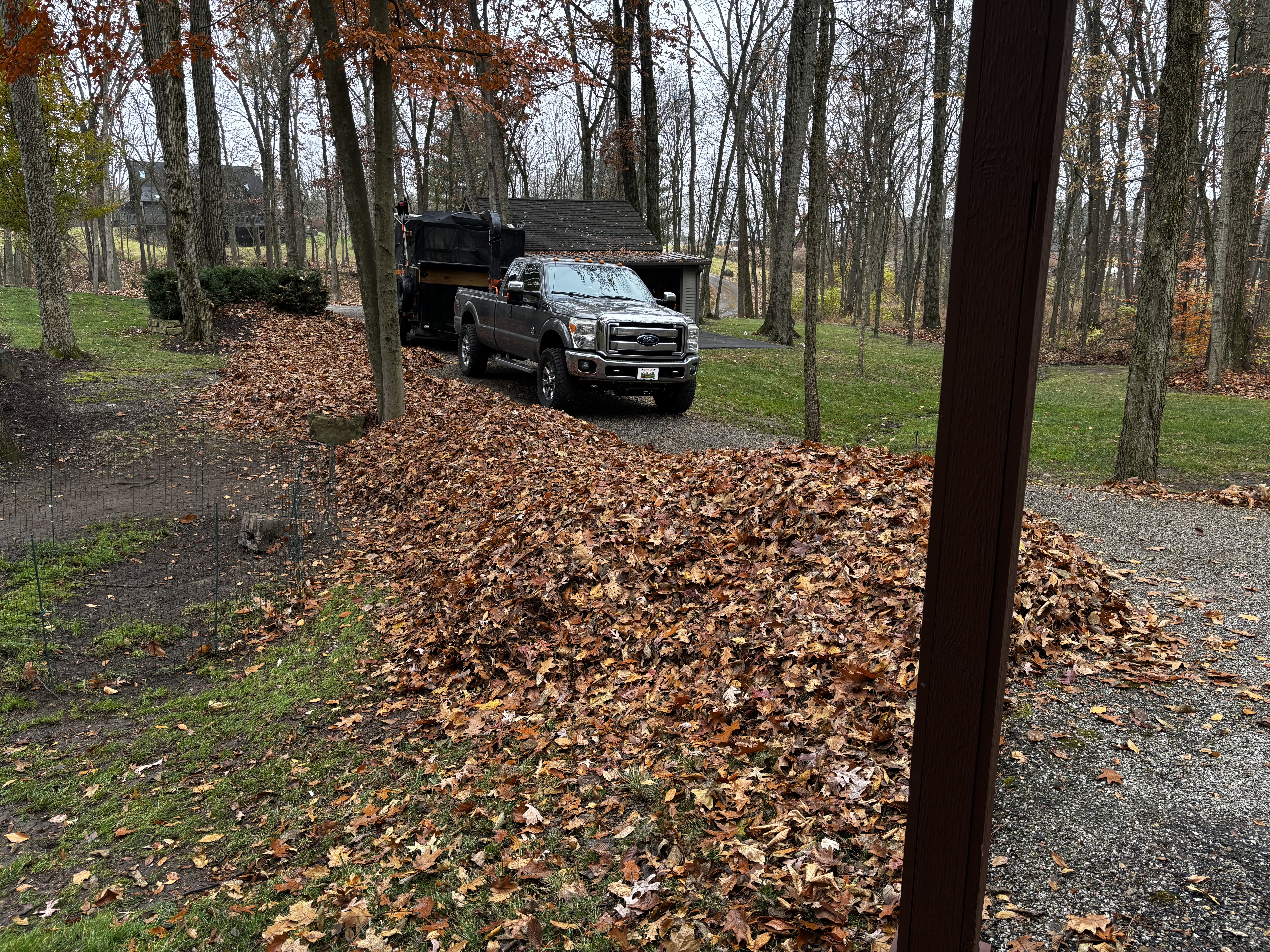 Large pile of autumn leaves gathered along a wooded driveway with a heavy-duty pickup truck ready for leaf removal