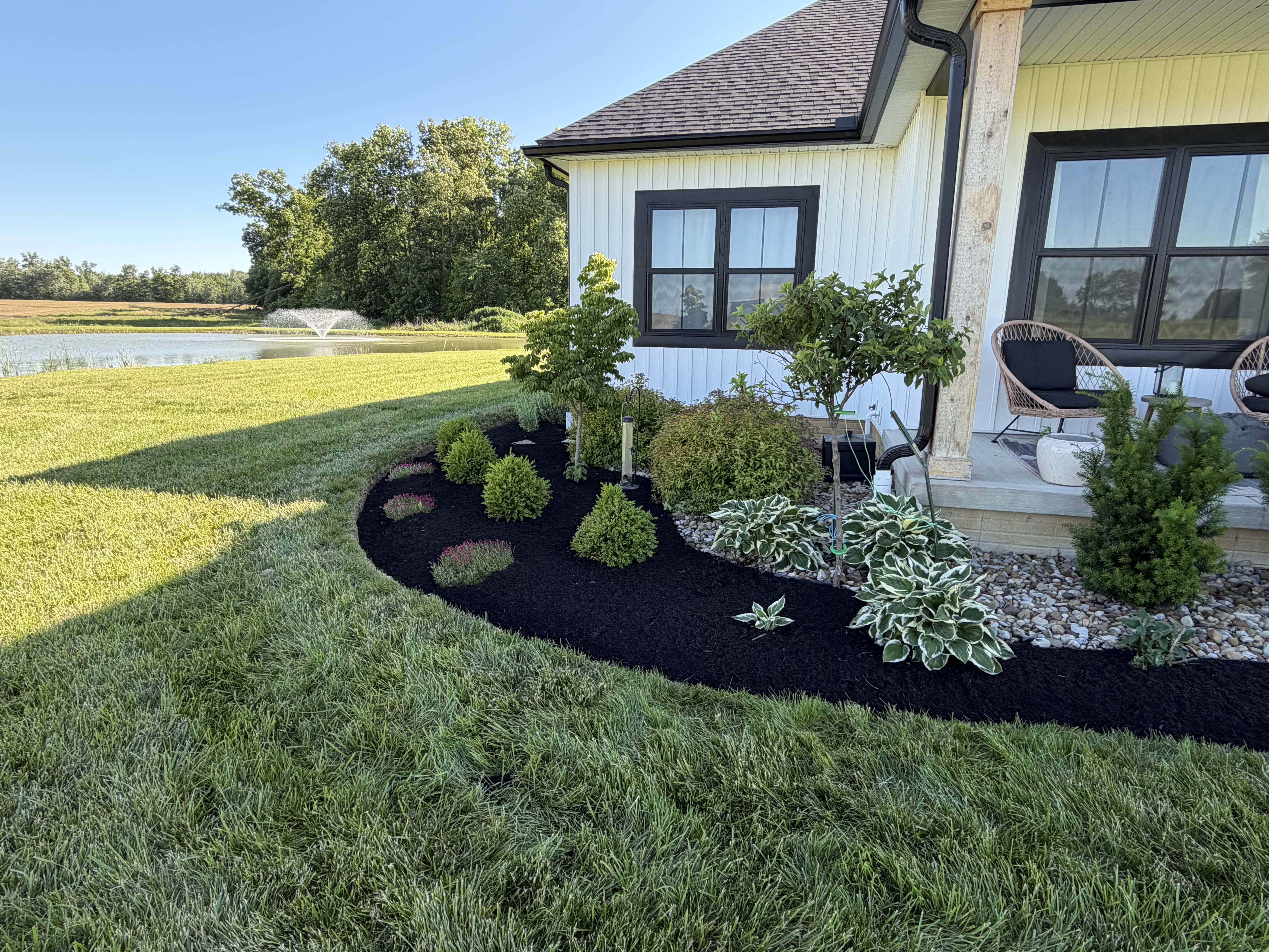 Curved flowerbed with dark mulch, healthy Hostas, and decorative shrubs next to a retention pond with a fountain